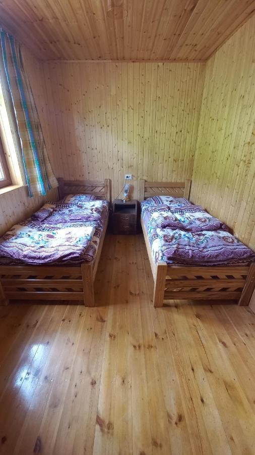 Guest House Elisabeth Adishi エクステリア 写真