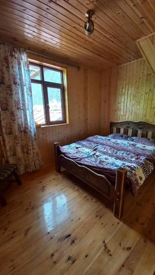 Guest House Elisabeth Adishi エクステリア 写真